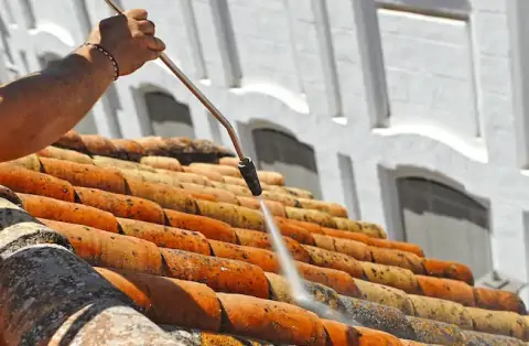 Démoussage de toiture à Thouaré sur Loire